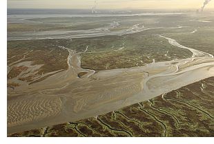 river estuary - photograph Yves Adams / VILDA